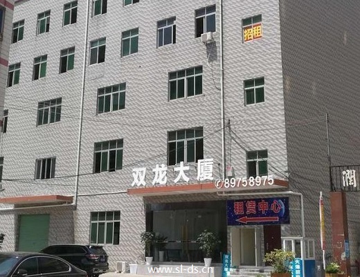 和地双龙大厦